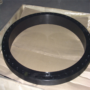 Ring Flange